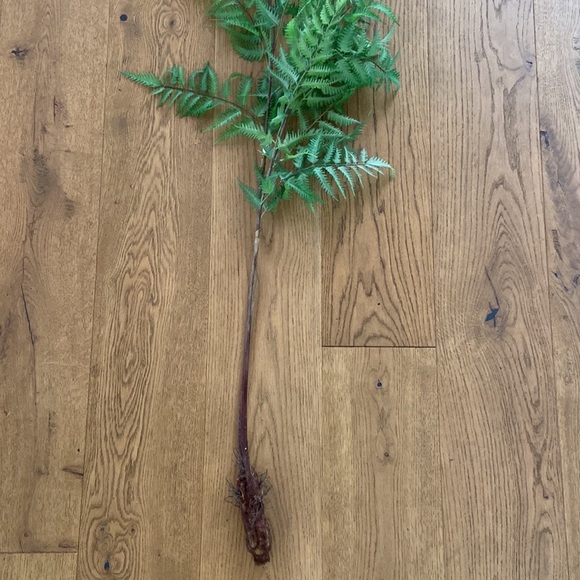 Faux Fern Stems - Picture 5 of 6